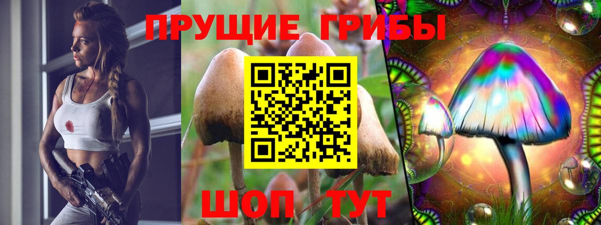 Псилоцибиновые грибы мицелий  Вход с VPN  Серов  Галлюциногенные грибы Psilocybine cubensis 